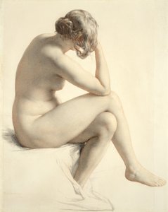 Studie života (pastel a tužka na papíře)